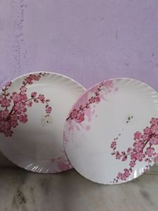 2 Beautiful melamine 🍽 Plates ..
