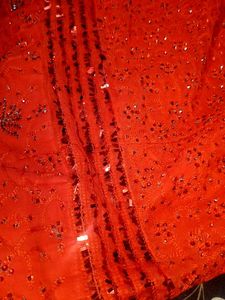 elegant lehnga choli