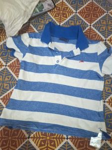 Striped Polo Shirt