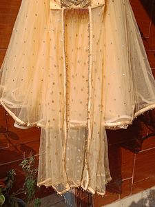 Lehenga Dress