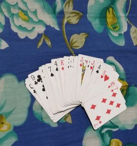 Playing Cards 2 Decks.