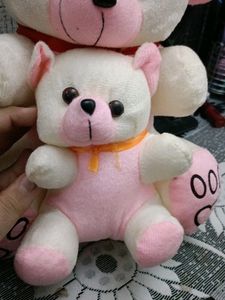 2 In 1 Teddy Bear