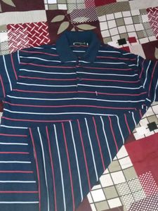 Striped Polo Shirt