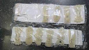 Pearl Hair Clips 10pcs