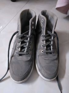 Grey Sneakers