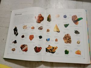 Visual Dictionary