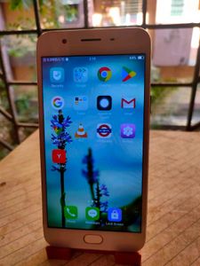 4/64 Oppo F1s [Price Negotiable]