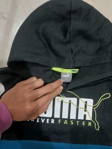 Puma Colorblock Hoodie