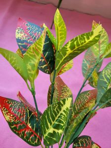 Green Red Shaded Leaf Set