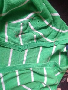 parrot Green tshirt with white strips