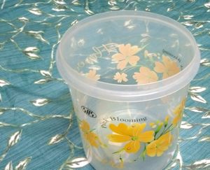 Plastic Container