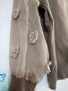 Woolen High Neck With Bishop Sleeves