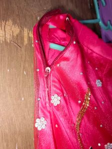 Pink Embellished Lehenga Skirt