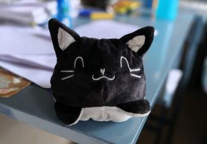 🐾"Reversible" Cute Cat Plushie💗