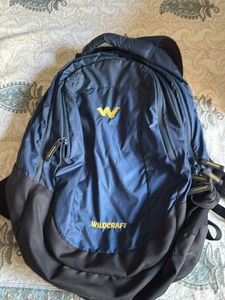 Wildcraft solid 45L laptop bag