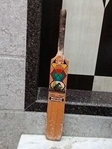 cricket bat