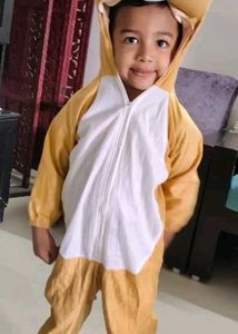 Kids Fancy Dress Costume