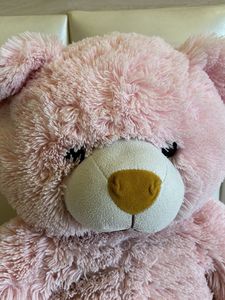 Teddy Bear (2 Feet) Ht