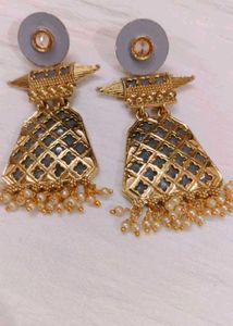 Completely New Earings ✅