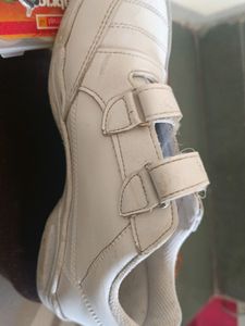 School Shoes ( White)