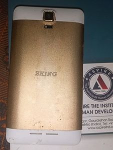 Sking mini mobile