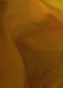 KOMALPANKH Woven Daily Wear Net Saree (Yellow)