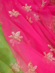 Ethnic Pink And Green Net Saree