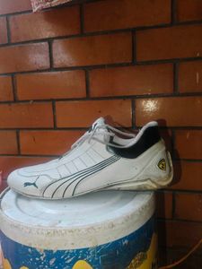 puma ferrari sf future cat shoes