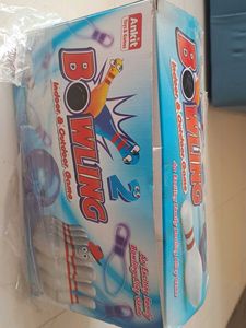 Bowling Indoor And Outdoor Game