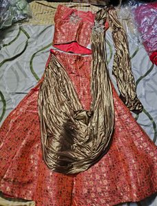 Elegant Lehenga Choli