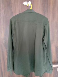Olive Green Shirt