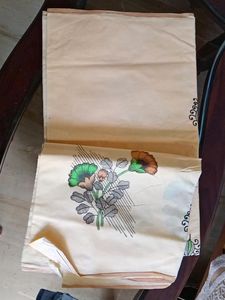 Cream Color Painted Saree