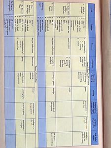 CBSE CLASS 5 ENGLISH TEXT BOOK