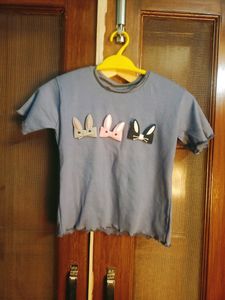 Beautiful Teddy Bear Crop Top