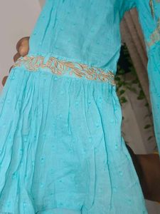 New Cute Blue Embroidered Top