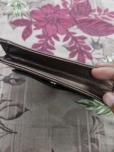 Metallic Bronze Clutch