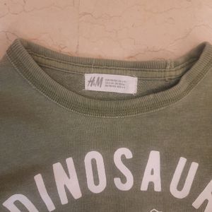 Boys/Unisex H&amp;M Military Green Dinosaur Sweatshirt