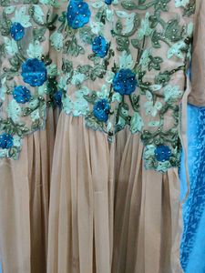 Elegant Ethnic Gown