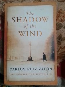 shadow of the wind