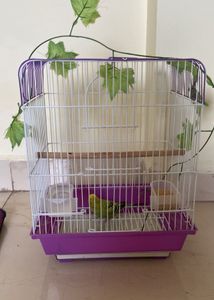 Bird Cage (freshly Bought )
