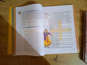 Class 10 Sst Books