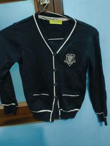 Dark Blue Sweater
