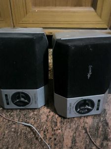 Speaker