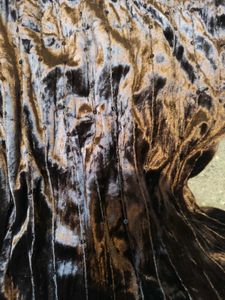 Brown Velvet Boho grunge fairy top