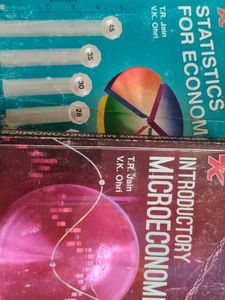Class 11 Economics Book