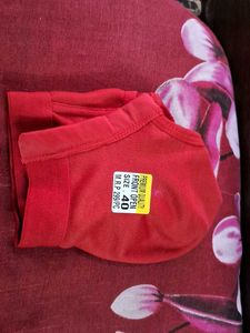 womens front  open bra