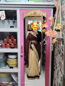 Elegant Brown & Beige Saree