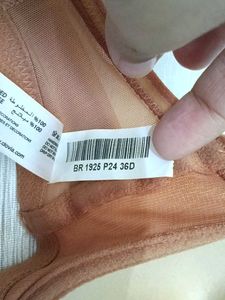 Comfortable Everyday Mesh Net Bra
