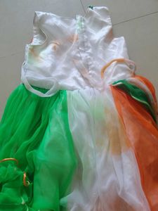 Tricolor Festive Dress