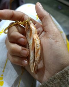 Handmade Shell Keychain..🐚🔑❤️